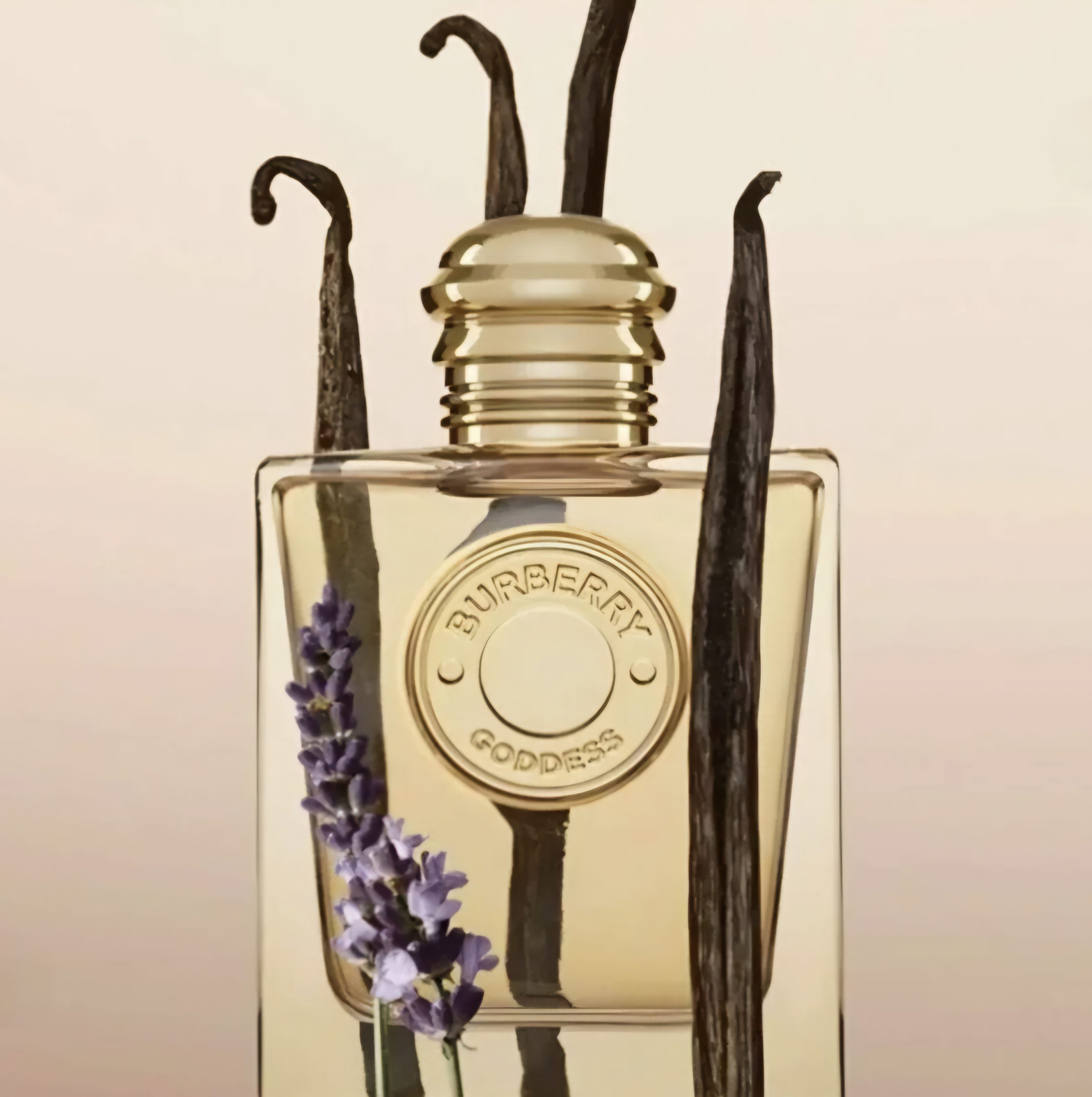 Burberry Goddess - Eau De Parfum - 100 ML – Tester Original - imagine 8