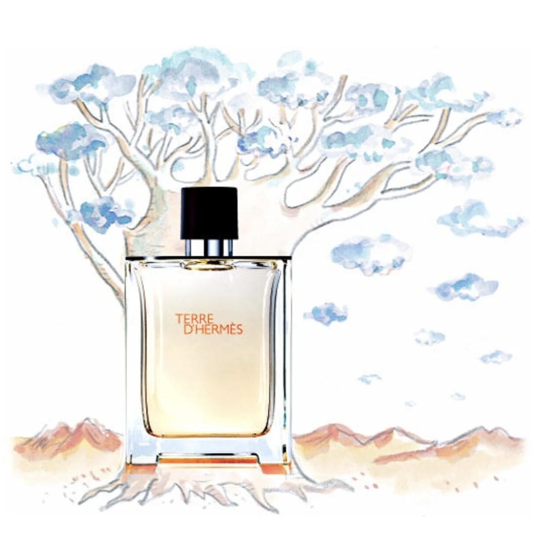 Hermes Terre d'Hermes-Eau De Toilette-30 ML - imagine 4
